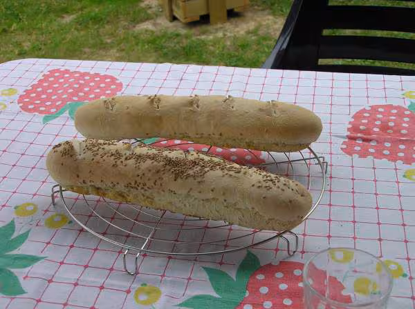 Baguettes cuites une avec graines de sesame
