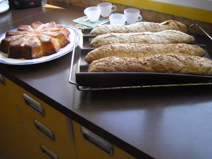 Baguettes sans petrissage et gateau aux abricots 14 10 07