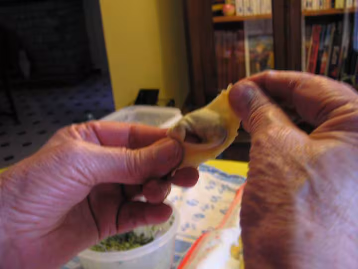 Faconnage des tortellis