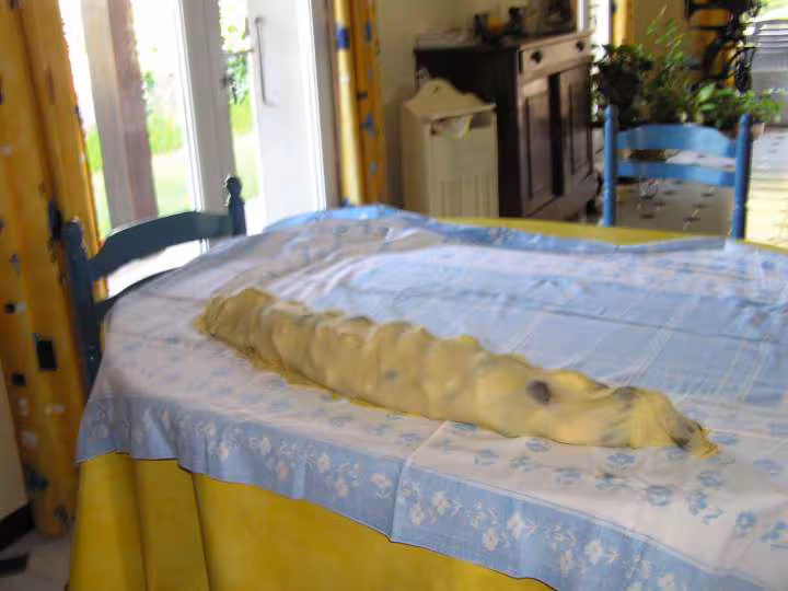 Gateau au torchon roule