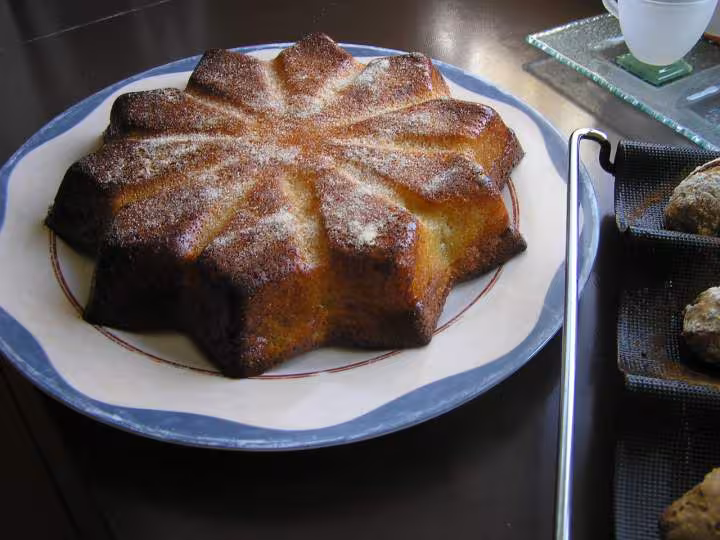 Gateau aux abricots 14 10 07