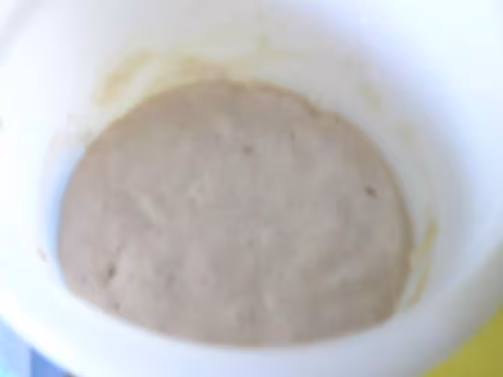 Levain surnomme grenade 6eme jour