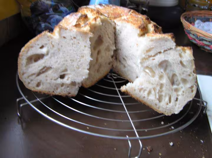Mie du pain au levain de grenadine 5 02 07
