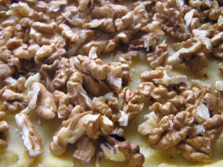 Morceaux de noix sur le fond de pate