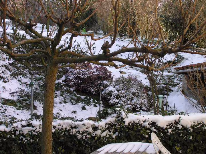 Neige 23 01 07