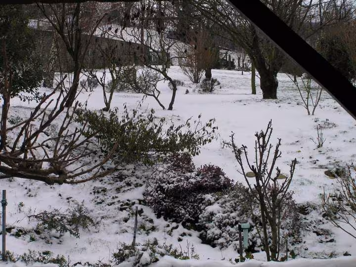 Neige du 23 01 07