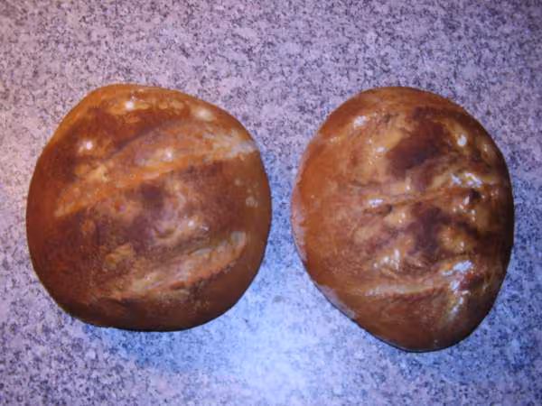 Pain au levain 1