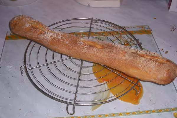 Mes premiers essais de conservation