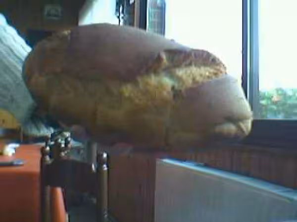 Brioche au miel