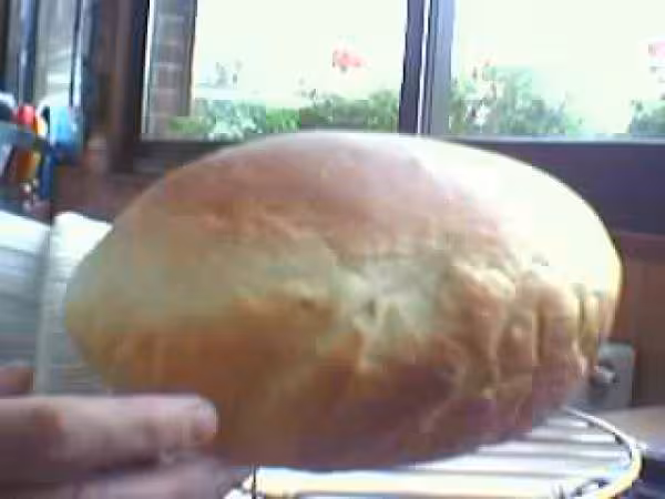 Brioche3