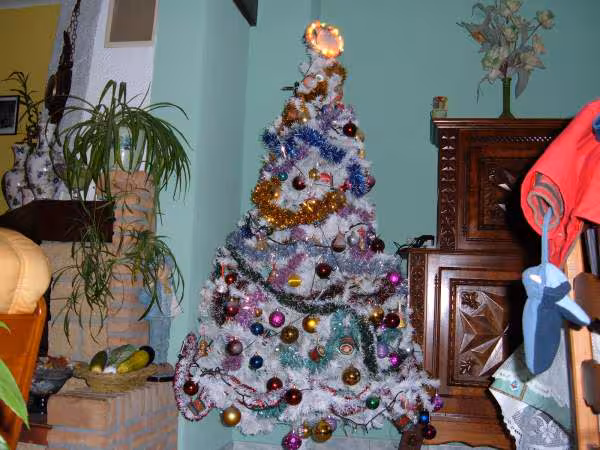 Voila mon sapin