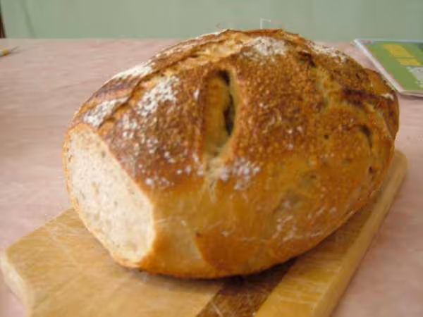 Pain tout levain