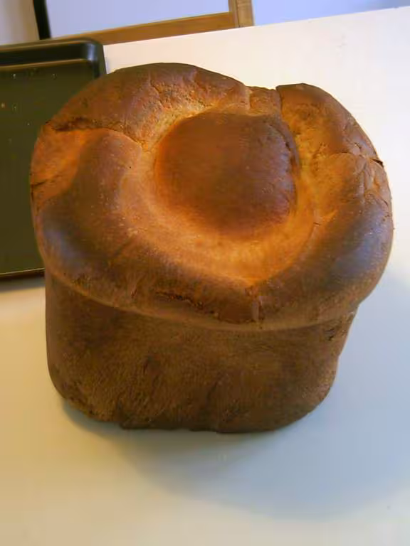 Ma premiere brioche