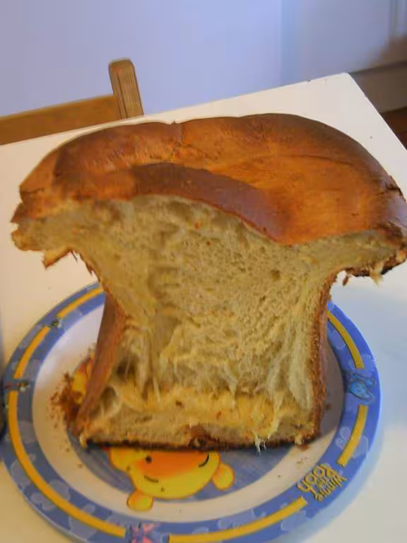 Ma premiere brioche