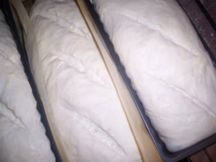 Grignes avant cuisson