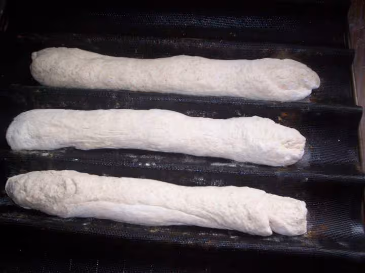 Mise dans le filet
