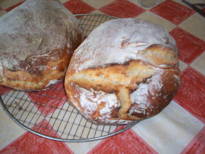 Pain sans petrissage