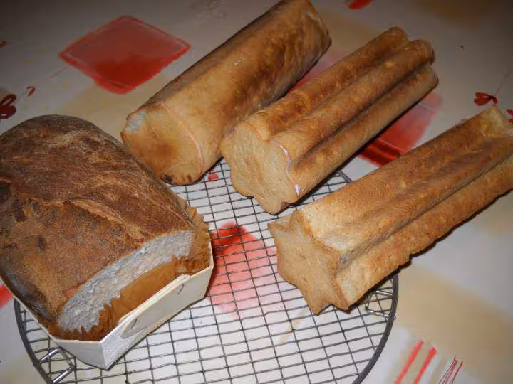 Pains toasts foie gras
