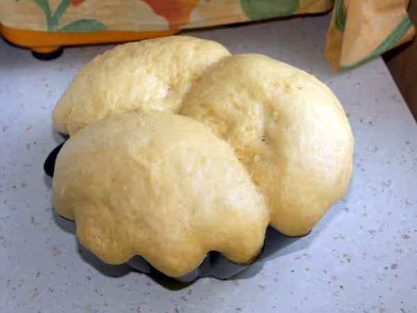 1ere brioche au levain 1