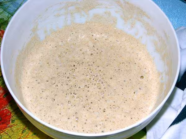 Re levain j 2 1