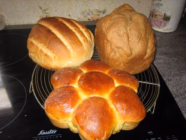 Creations de ce matin