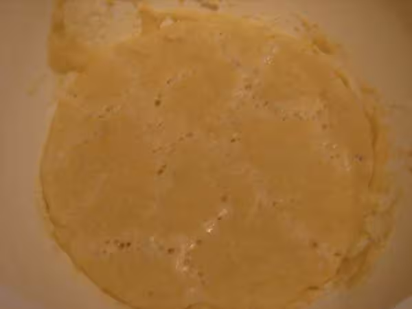 Poolish