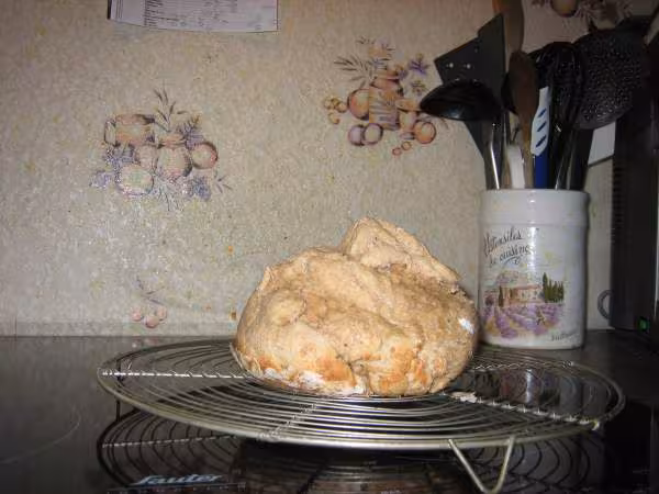Sorti de la cuve