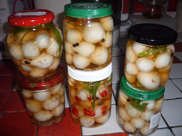 Conserves d oignons grelots au vinaigre