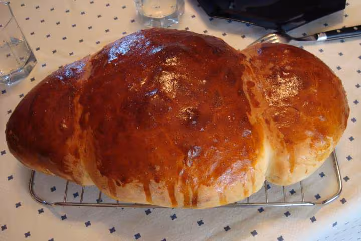 Coquille de noel