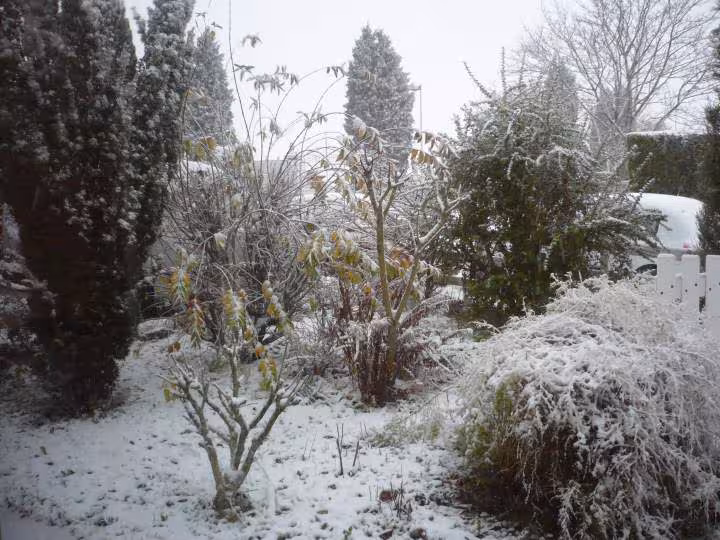 Jardin sous la neige