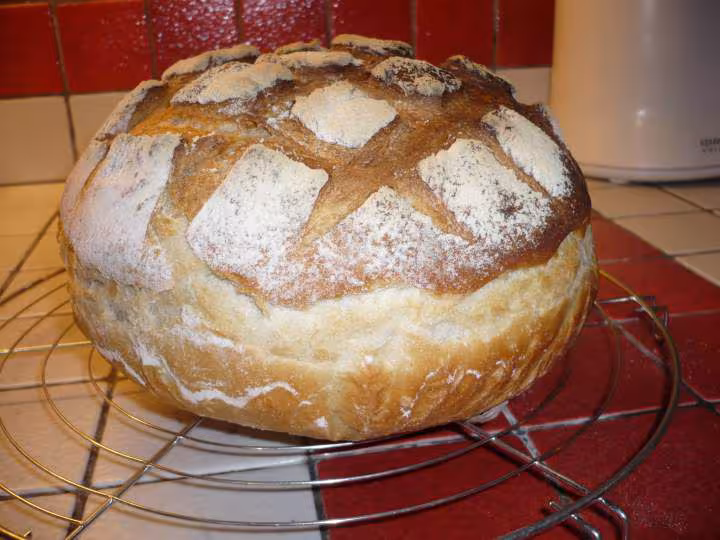 Miche ciabatta et t55