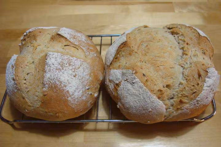 Miches multicereales