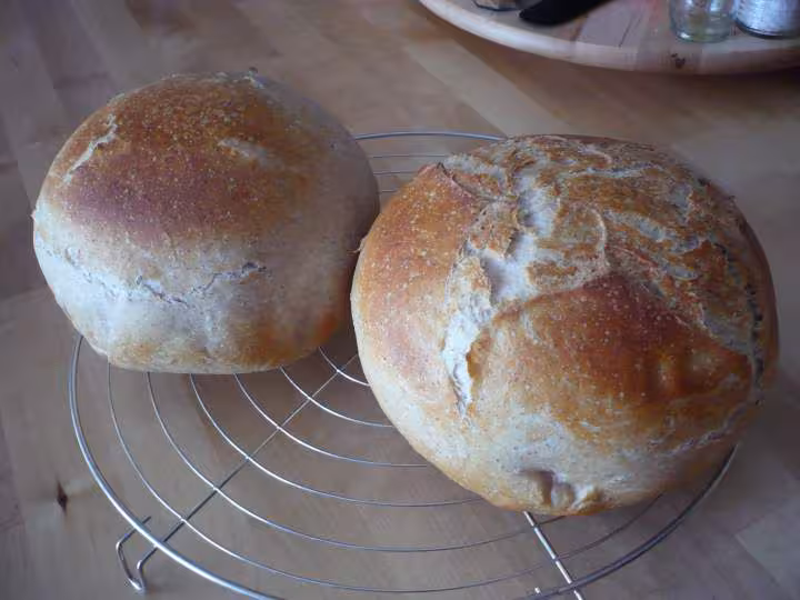 Pains aux trois farine