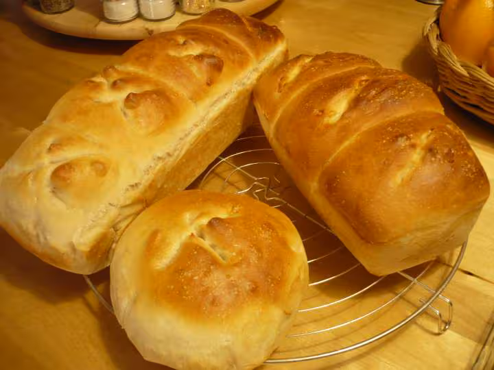Pains blancs facon pain de mie