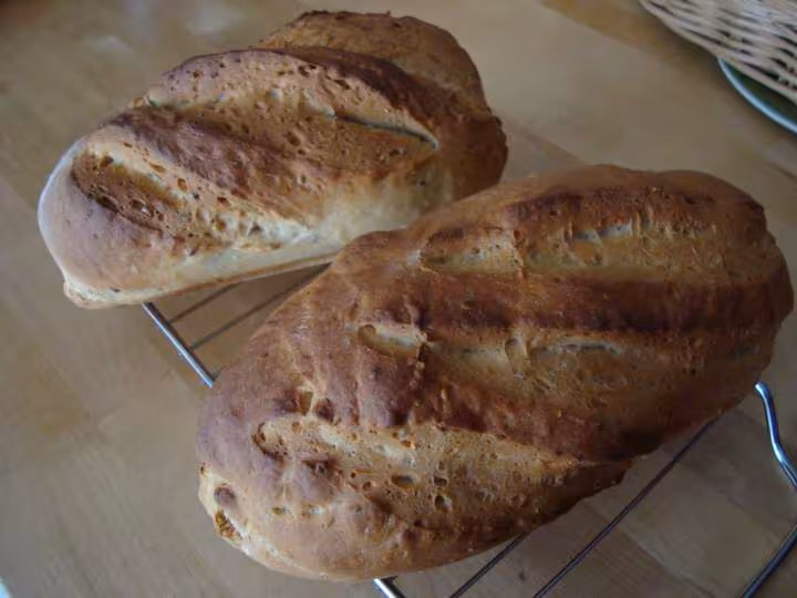 Pains ciabatta