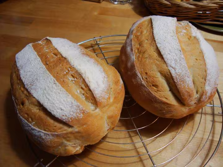 Pains ciabatta au petit lait