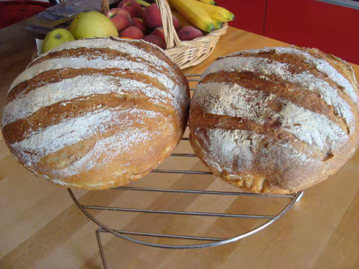 Pains de seigle sur poolish au levain liquide