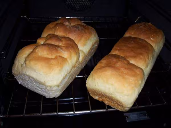 Brioche de lilipuce021