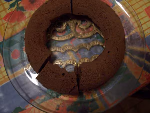 Cake moelleux au chocolat