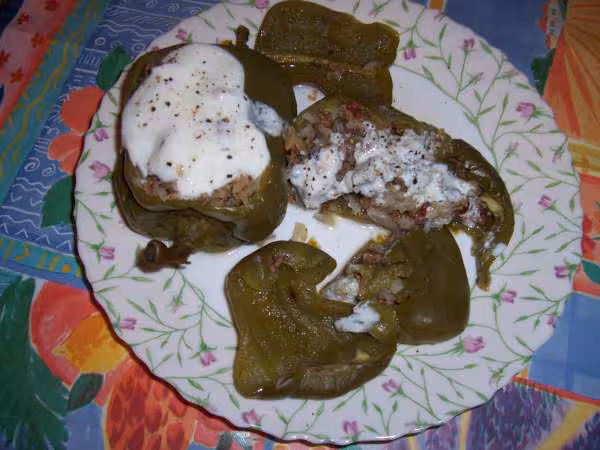 Poivrons farcis a la viande hachee de tatabedette