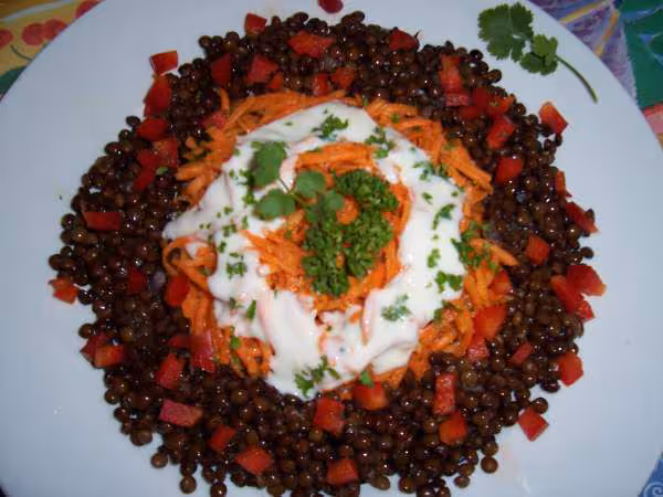 Salade aux lentilles et aux carottes rapees de cortaline