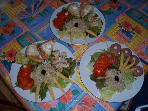Supreme de poulet sur salade et toasts de chevre chaud
