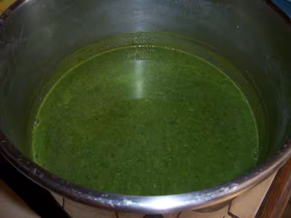 Veloute aux tetragones et aux flocons d avoine