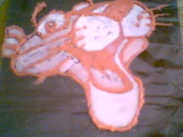 Panthere rose