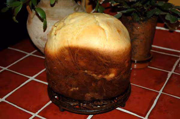 Brioche a l oeuf d oie et fruits secs