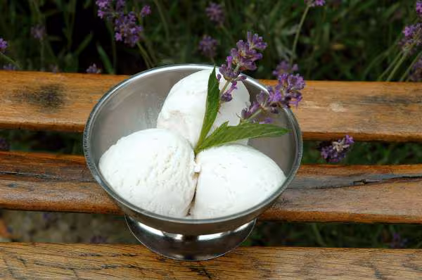 Glace a la lavande
