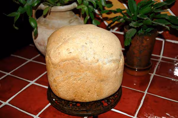 Pain aux graines de cumin