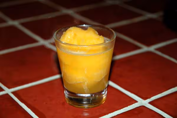 Sorbet a l orange et vodka