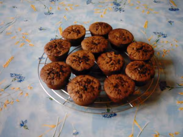Muffins tout chocolat
