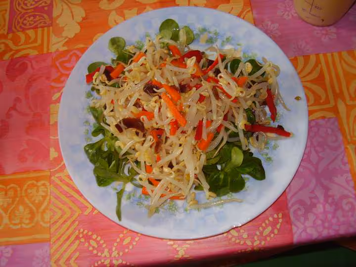 Salade vietnamienne